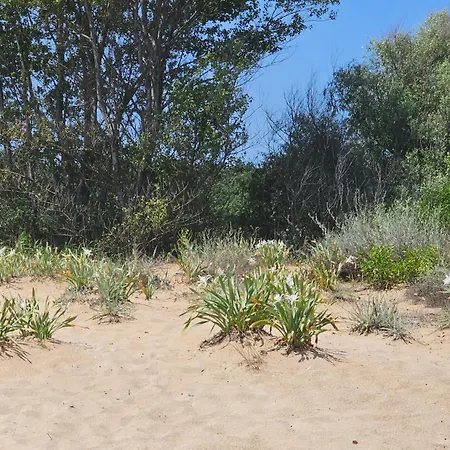 Smokini Beach